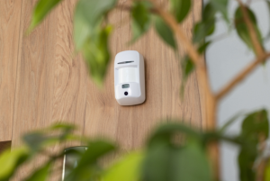 Motion Cam 300x201 1